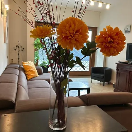 Apartment Carpegna Luxury With Terrace